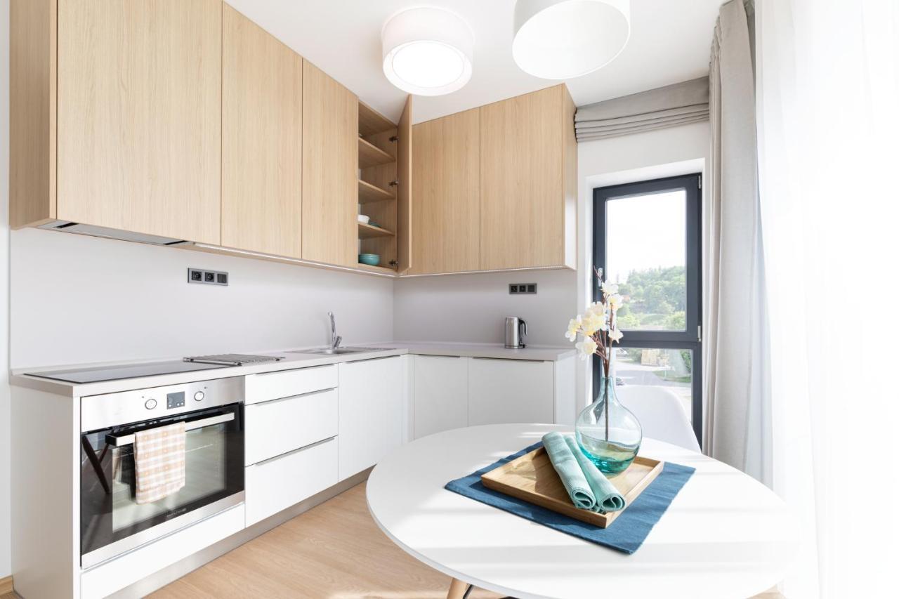Rasl House Apartment Luka nad Jihlavou Екстериор снимка